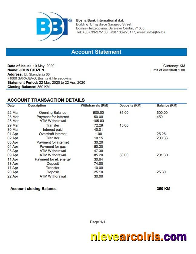 Bosnia and Herzegovina Bosna Bank International bank  statement